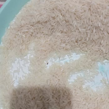 A101'den Alınan Pirinçte Böcek Skandalı