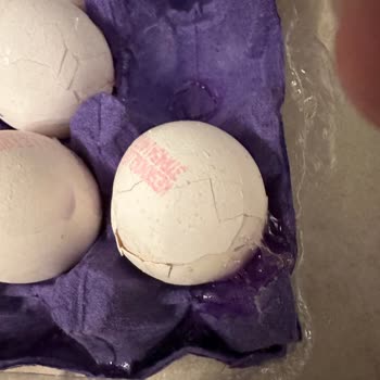 Kırık Yumurtalarla Gelen Hayal Kırıklığı