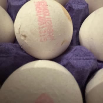 Kırık Yumurtalarla Gelen Hayal Kırıklığı