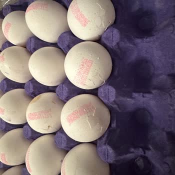 Kırık Yumurtalarla Gelen Hayal Kırıklığı