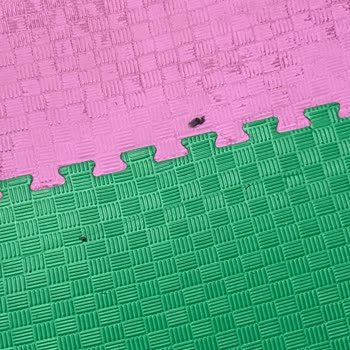 Hijyen Sorunu Ve İlgisizlik