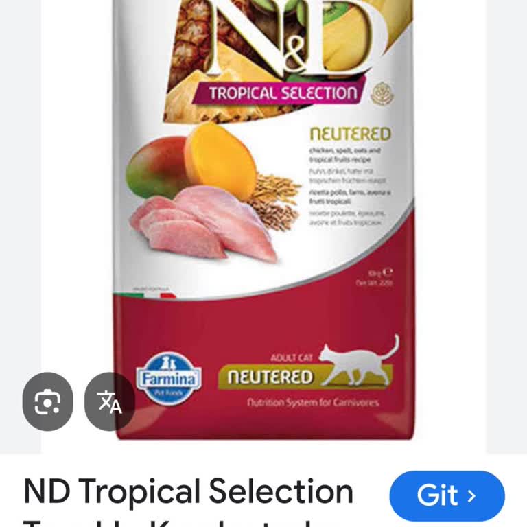 Kedi Mamasından Kaynaklanan Alerji Ve Ameliyat Sorunu