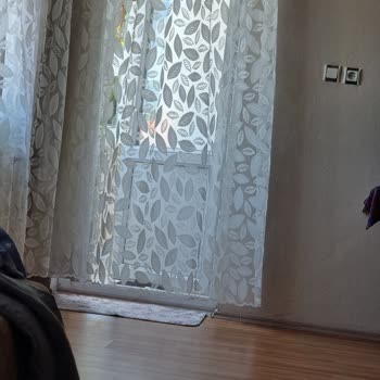 Samsung Telefonumun Kamera Sorunu Ve Müşteri Memnuniyetsizliği