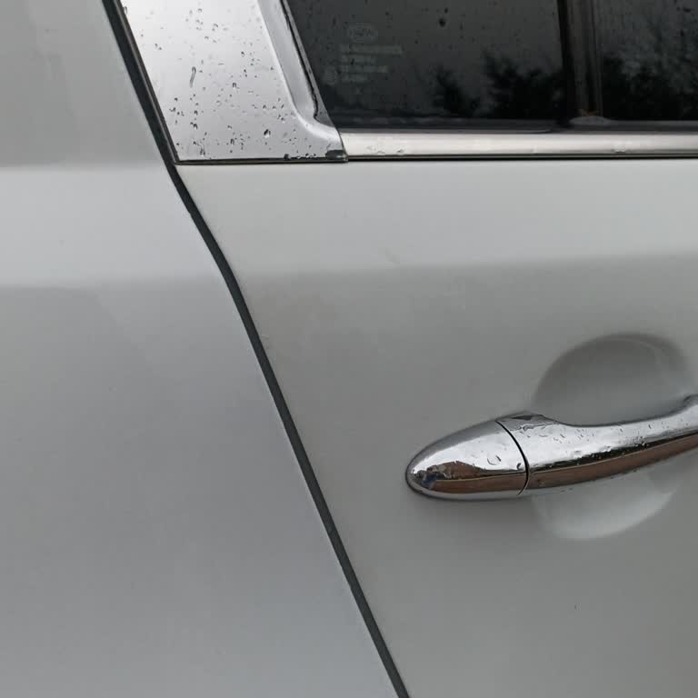 Kia Sportage Boya Sorunu: Renk Değişikliği Ve Sararma