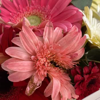 Onay Mesajı Gelmeden Gönderilen Solmuş Çiçekler