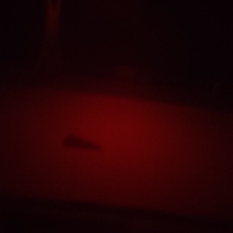 Bellona'dan Aldığımız Ürünlerde Büyük Hayal Kırıklığı