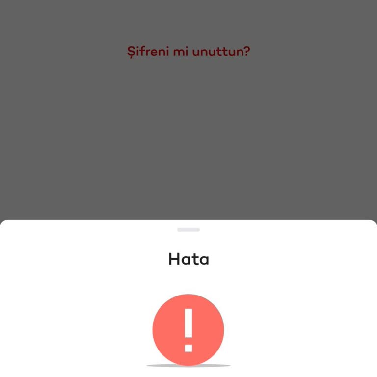 IP Kısıtlaması Nedeniyle Uygulamaya Erişim Sorunu