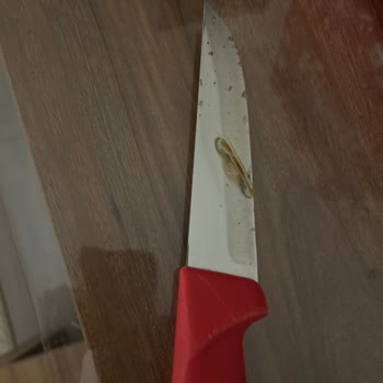 Arçelik Bulaşık Makinesi: Paslanma Ve Küflenme Sorunu