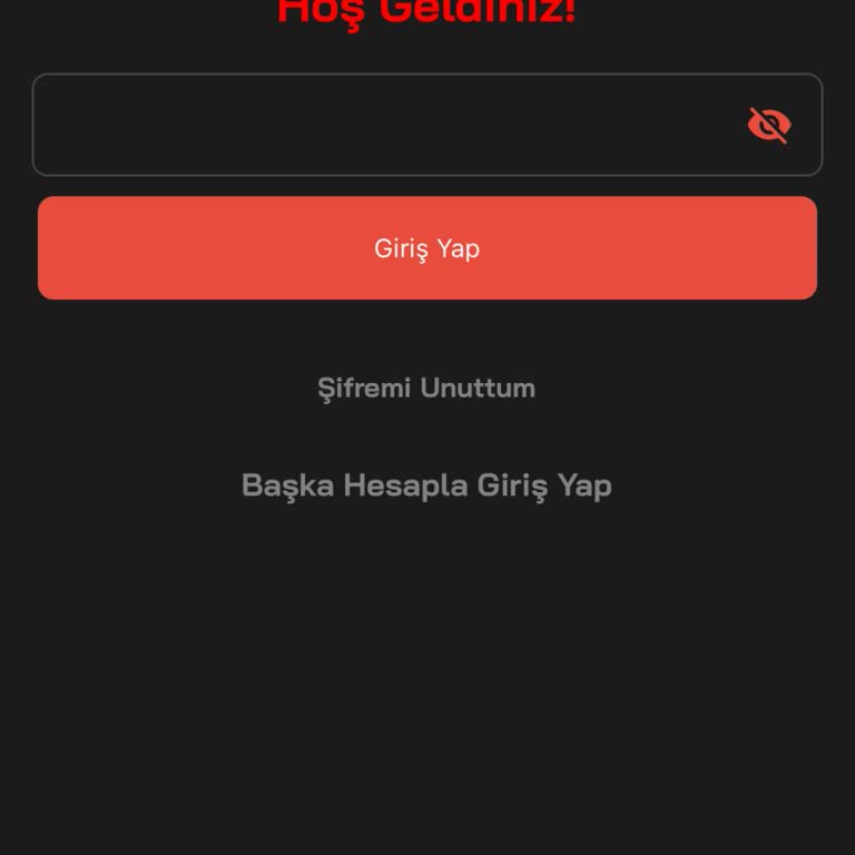 Payfix Hesabına Erişim Sorunu Ve IP Güvenliği