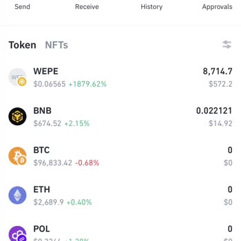 Binance Cüzdanında Wepe Token Satış Sorunu