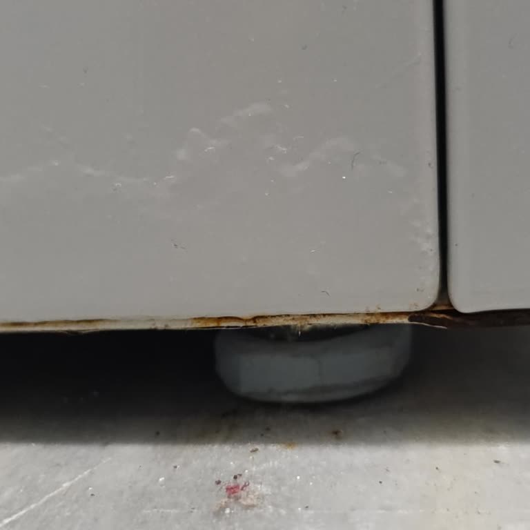 Profilo Çamaşır Makinesi Su Sızıntısı Ve Müşteri Hizmetleri Sorunu!