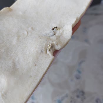 Milföy Hamurunda Küf Şoku