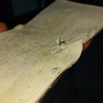 Milföy Hamurunda Küf Şoku