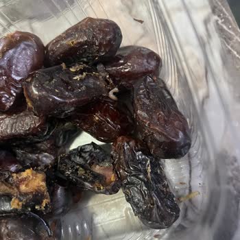 Güvenilir Sandığım Mağazadan Kurtlu Hurma Şoku