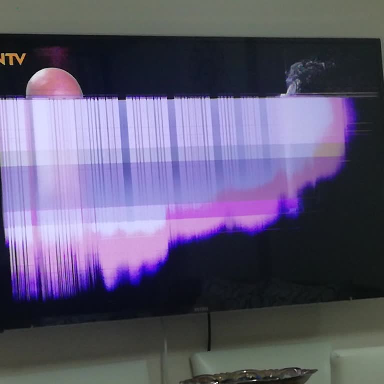 Vestel TV Panel Arızası Ve Garanti Sorunu