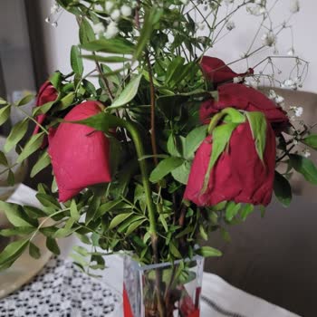 Özel Günde Solmuş Çiçek Mağduriyeti