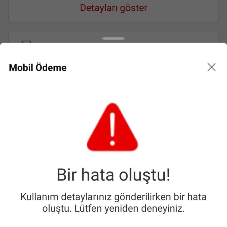 Fatura Detaylarına Erişim Sorunu: 5 Aydır Çözüm Bekliyorum