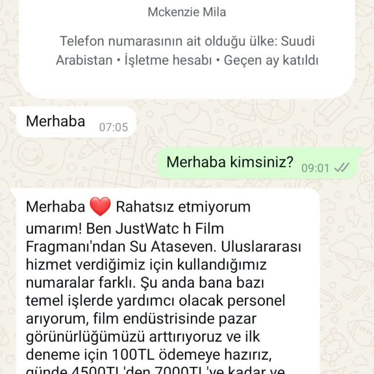 WhatsApp Üzerinden Gelen Şüpheli Mesaj Ve Güvenlik Endişesi