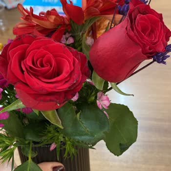 Çiçek Siparişi Hayal Kırıklığı: Solmuş Ve Kopmuş Ürün