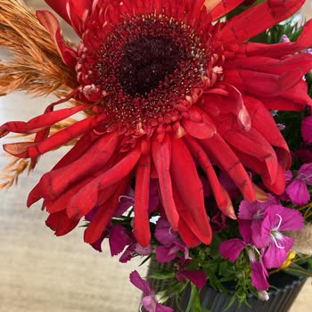 Çiçek Siparişi Hayal Kırıklığı: Solmuş Ve Kopmuş Ürün