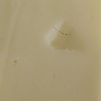 Hijyen Sorunu: Kaşar Peynirinde Kıl Şoku