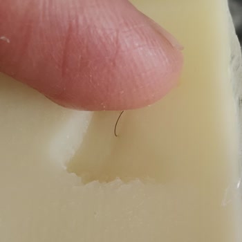 Hijyen Sorunu: Kaşar Peynirinde Kıl Şoku