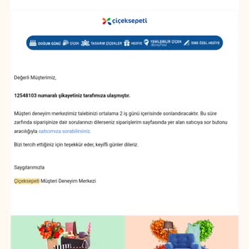 Yanıltıcı Görseller Ve Küçük Güllerle Hayal Kırıklığı