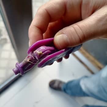 Parex Mop Başlığı Bulunamıyor: Müşteri Hizmetleri Ve Yedek Parça Sorunu