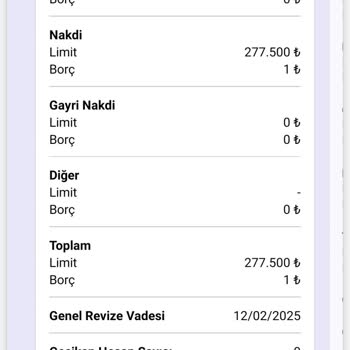 Kredi Puanını Düşüren Yanıltıcı Borç İddiası