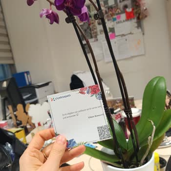 Geç Teslimat Ve Yanlış Çiçek Renkleriyle Hayal Kırıklığı