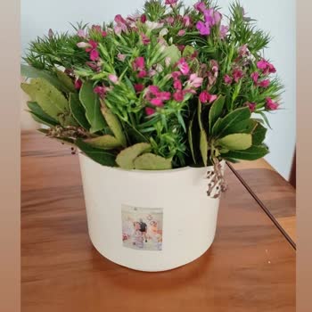 Çiçek Sepeti'nde Hayal Kırıklığı: Yanlış Ürün Ve İletişim Sorunu