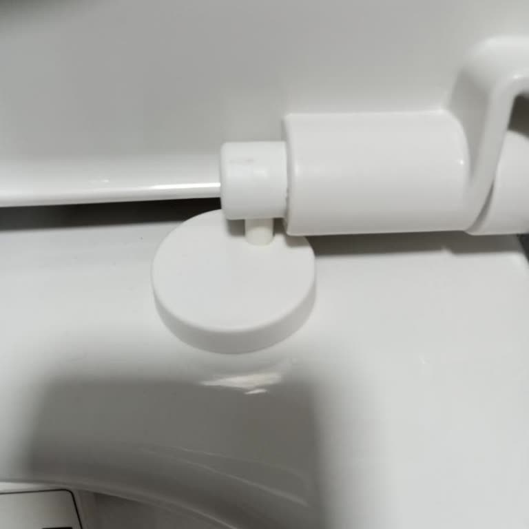 Vitra Klozet Kapağı Hayal Kırıklığı