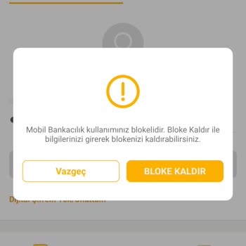 VakıfBank Hesap Blokesi Ve Şube Zorunluluğu Sorunu