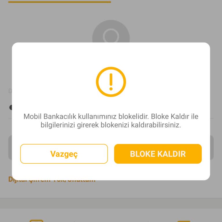 VakıfBank Hesap Blokesi Ve Şube Zorunluluğu Sorunu