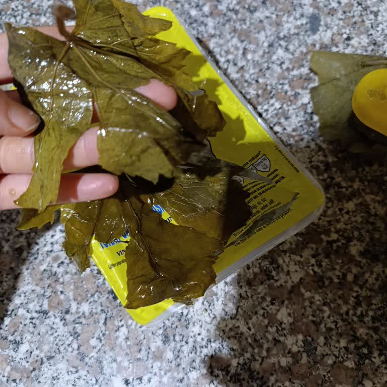 Alatat Salamura Yaprak Hayal Kırıklığı!