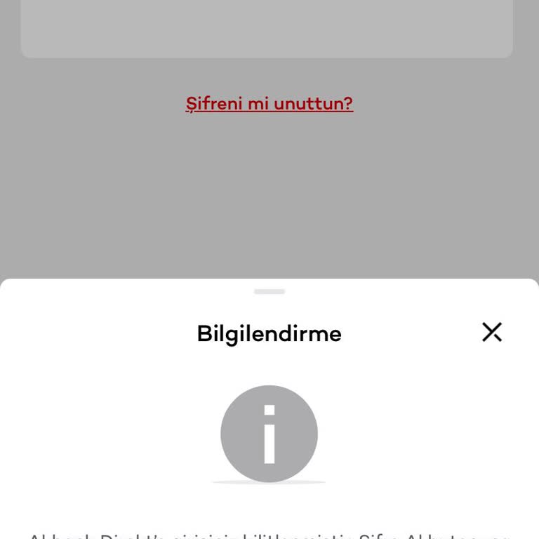 Telefon Numarası Güncellenemiyor, Hesaba Erişim Sağlanamıyor