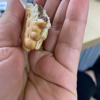 Bisküviden Çıkan Kıl Şoku!