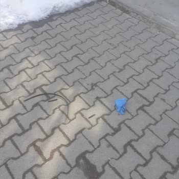 Türk Telekom'un Çevre Kirliliği İhmali!