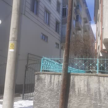 Türk Telekom'un Çevre Kirliliği İhmali!