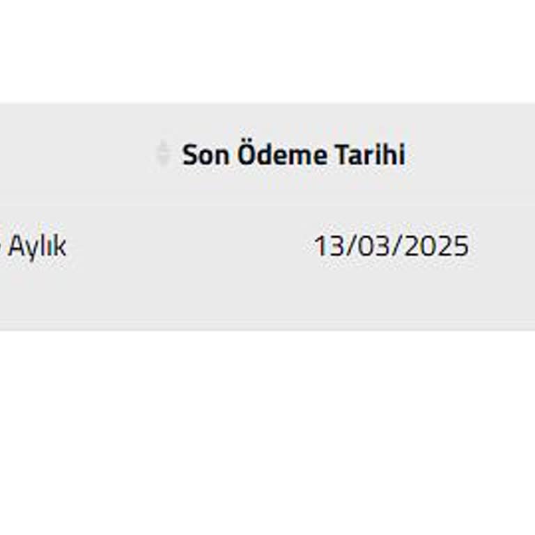 VDS Hizmetinde Eksik Destek Ve İade Sorunu