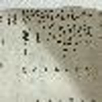 Hamburger Köftelerinde Ayırıcı Ambalaj Eksikliği