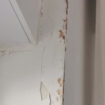 Eksper Bekleyişi Ve İletişim Sorunları