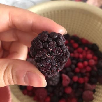 Dondurulmuş Meyvelerde Kurt Şoku!