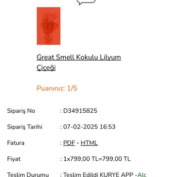 Kokulu Lilyum Çiçeği Hayal Kırıklığı Yarattı