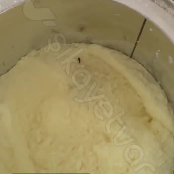 Hipp Marka Mamadan Çıkan Bit