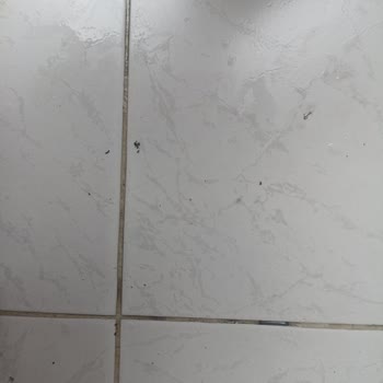 Marlboro Sigara Kalitesindeki Düşüş Ve Sağlık Sorunları