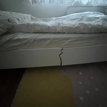 Kalitesiz Ürün Ve İlgisiz Mağaza Personeli