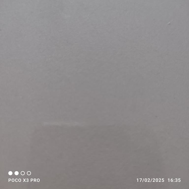 Fuzul Oto İle Rehin Sorunu Ve Zarar