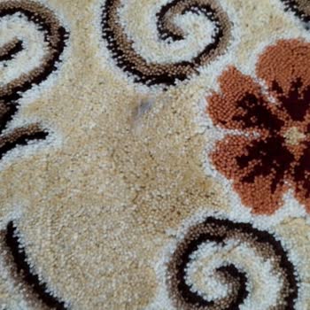 Dyson Süpürge Arızası: Hayal Kırıklığı Ve Pişmanlık