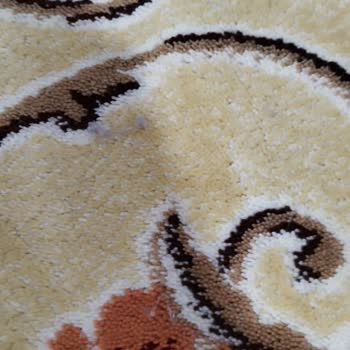 Dyson Süpürge Arızası: Hayal Kırıklığı Ve Pişmanlık